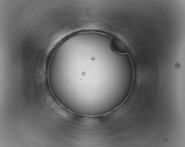 X0000111451270200907131321