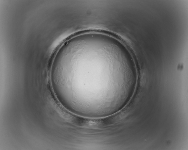 X0000111451271200907131321