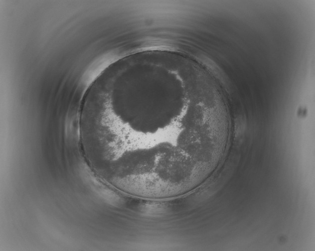 X0000111451274200907131321