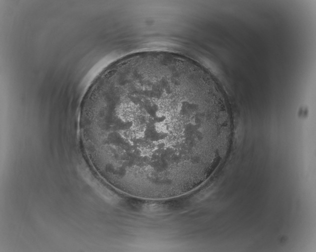 X0000111451275200907131321