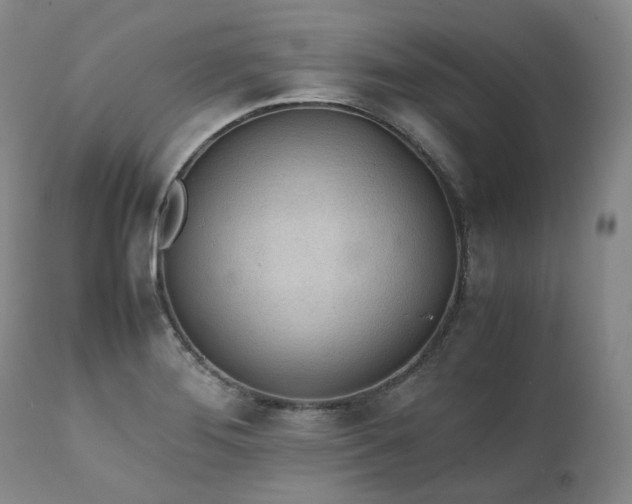 X0000111451276200907131321