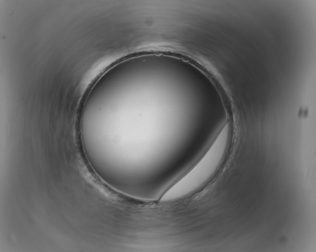 X0000111451277200907131321