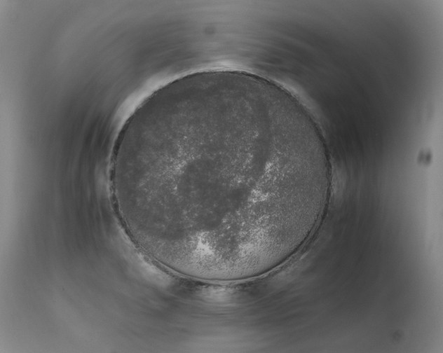 X0000111451278200907131321