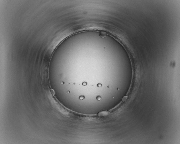 X0000111451281200907131321