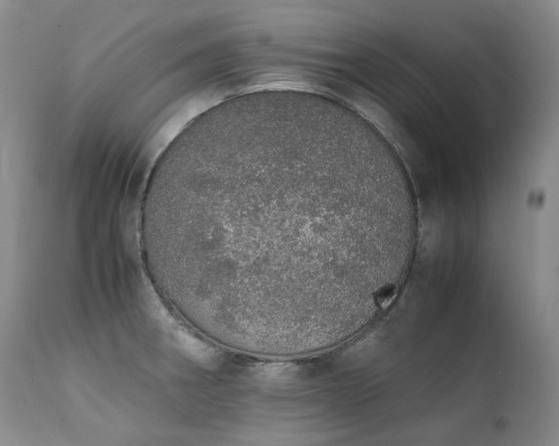 X0000111451282200907131321