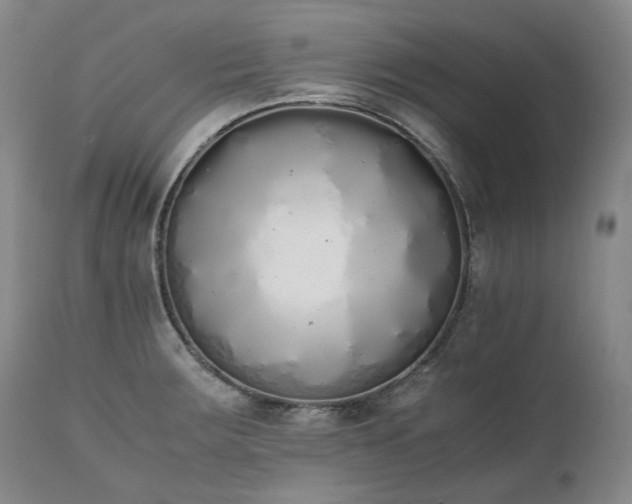 X0000111451283200907131321