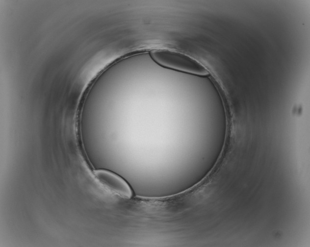 X0000111451285200907131321