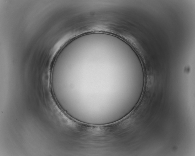 X0000111451286200907131321