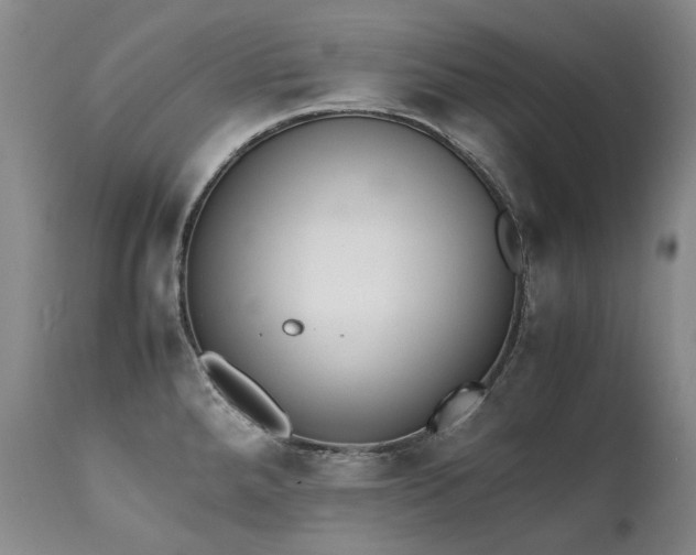X0000111451288200907131321