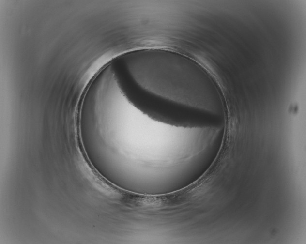 X0000111451291200907131321