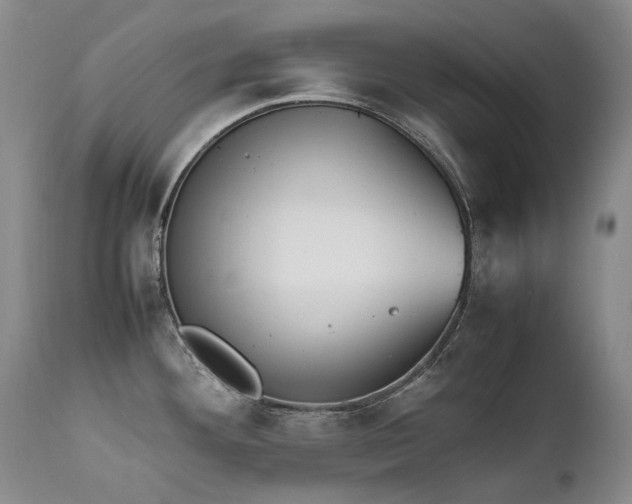 X0000111451292200907131321