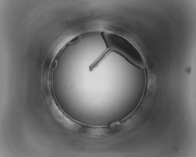 X0000111451293200907131321