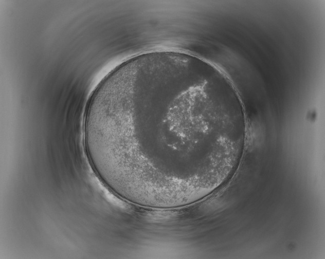 X0000111451294200907131321