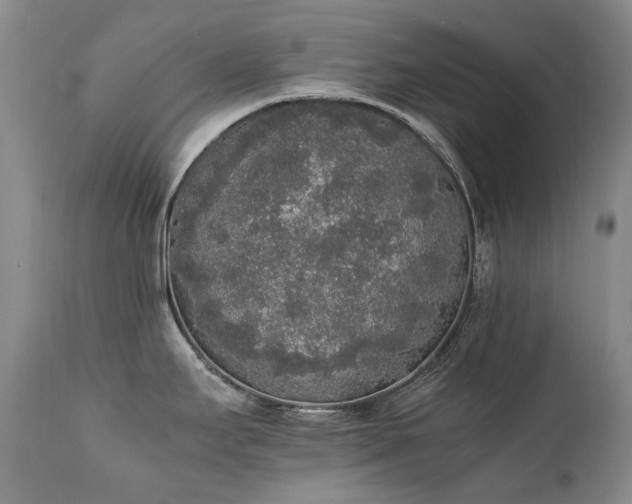 X0000111451295200907131321