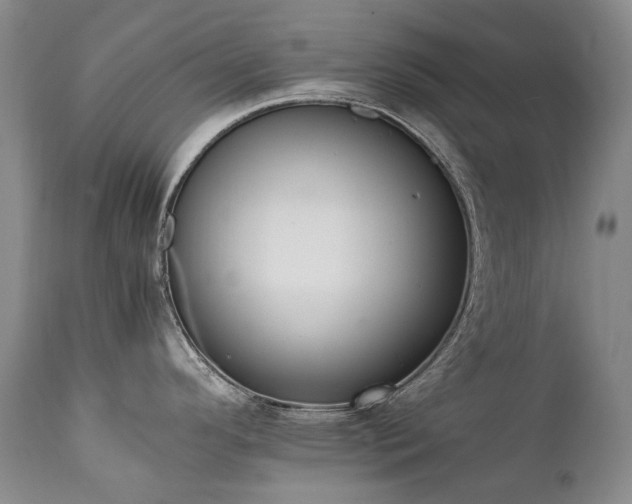 X0000111451296200907131321