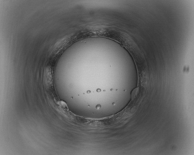 X0000111451298200907131320