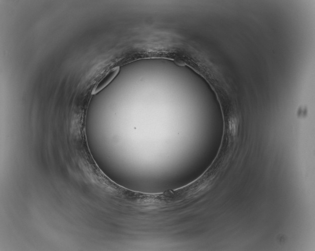 X0000111451300200907131320