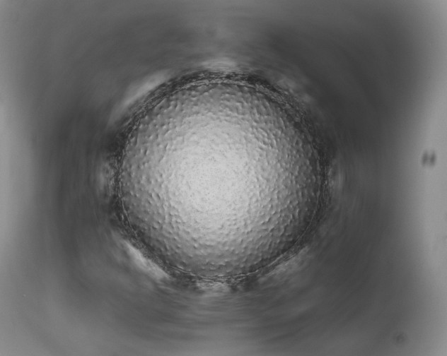 X0000111451302200907131320