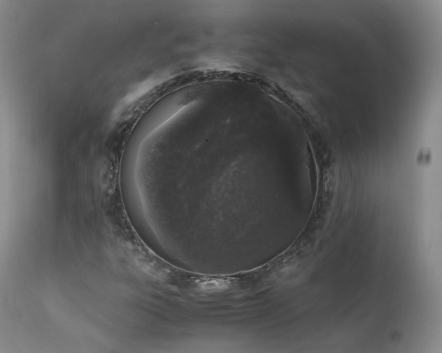 X0000111451303200907131320