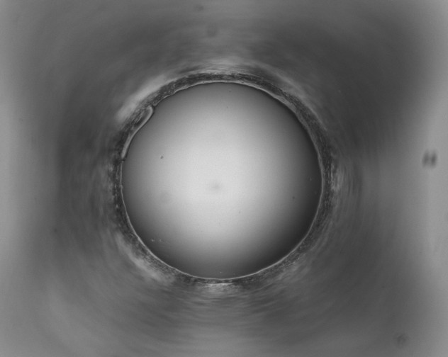 X0000111451304200907131320