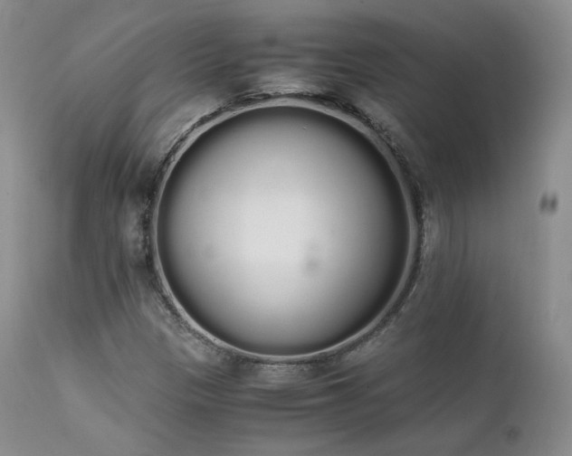 X0000111451305200907131320