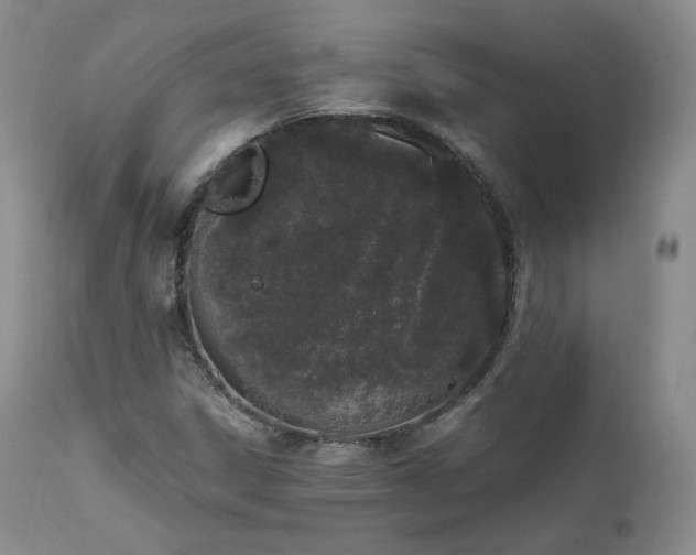 X0000111451306200907131320