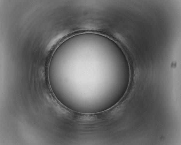 X0000111451307200907131320
