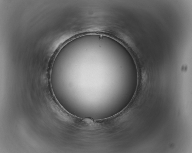 X0000111451308200907131320