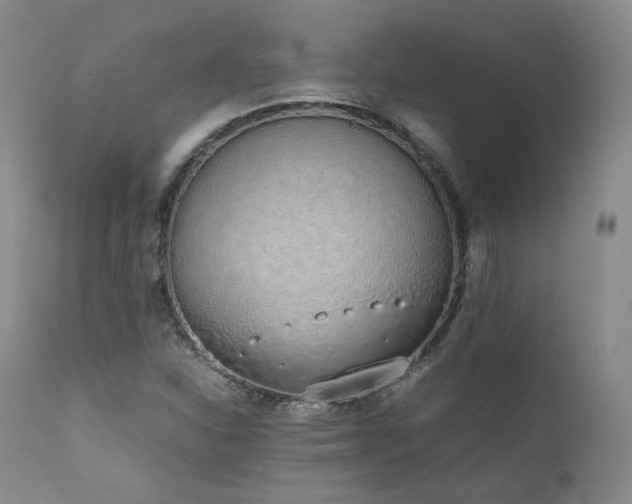 X0000111451310200907131320