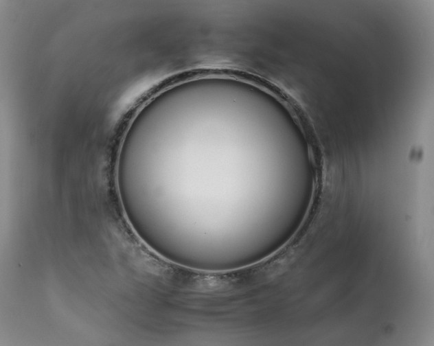 X0000111451311200907131320
