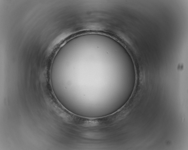 X0000111451315200907131320