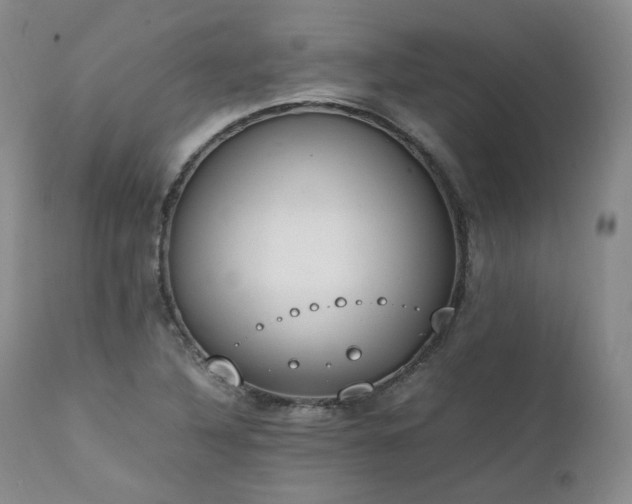 X0000111451316200907131320