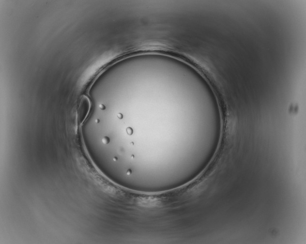 X0000111451317200907131320