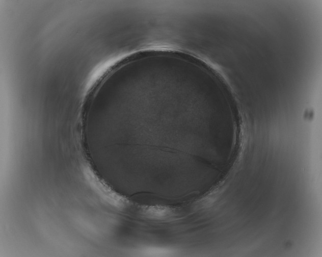 X0000111451319200907131320