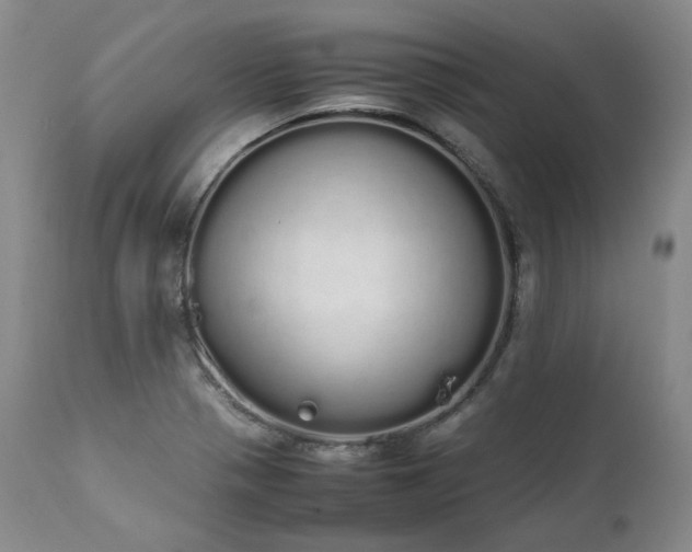 X0000111451321200907131320