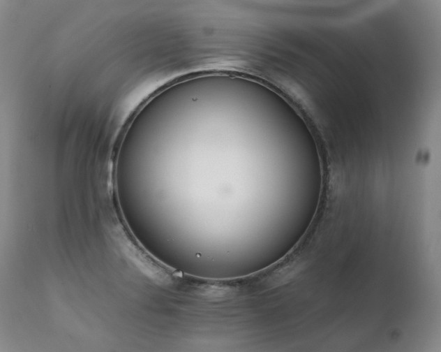X0000111451324200907131320