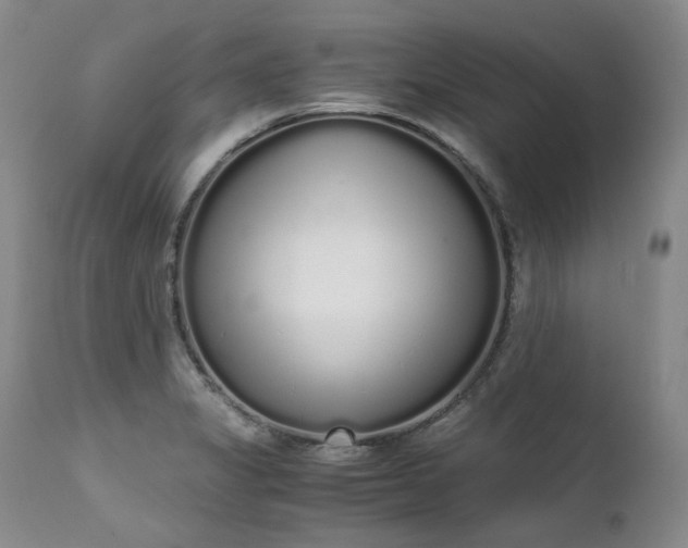X0000111451325200907131320