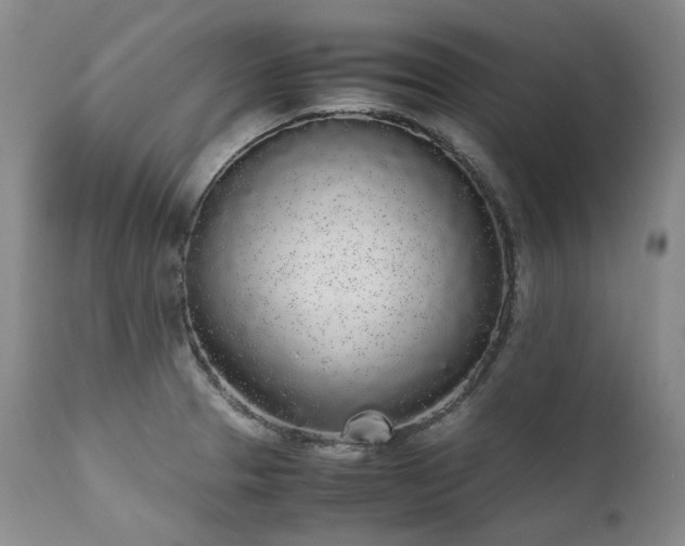 X0000111451329200907131320