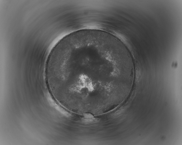 X0000111451331200907131320