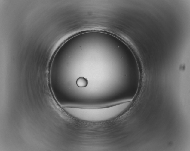 X0000111451332200907131320