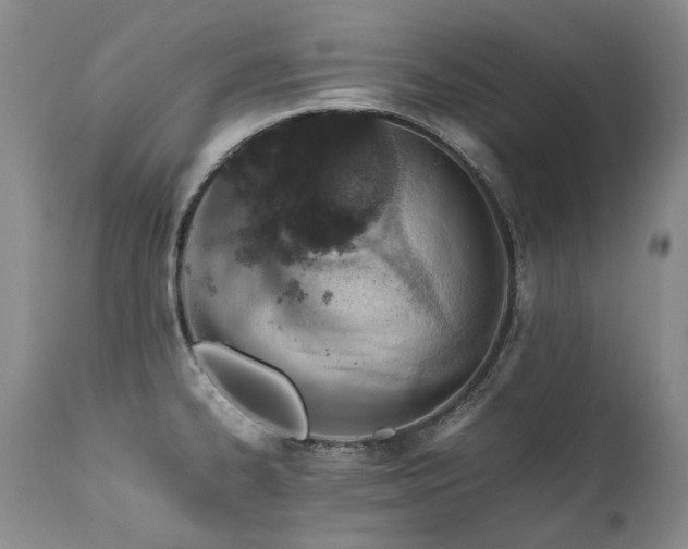 X0000111451334200907131320