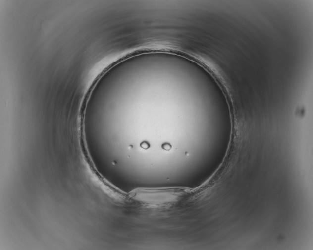 X0000111451335200907131320