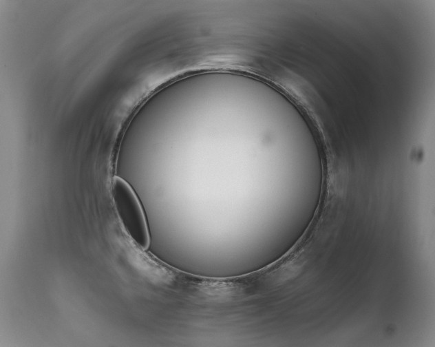 X0000111451336200907131320