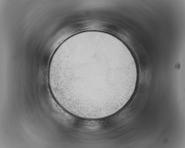 X0000111451338200907131320