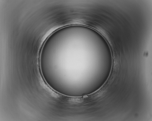 X0000111451339200907131320