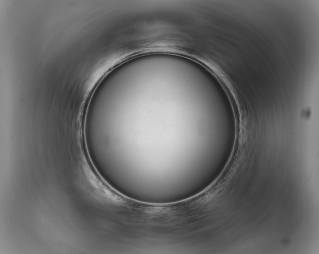 X0000111451341200907131320