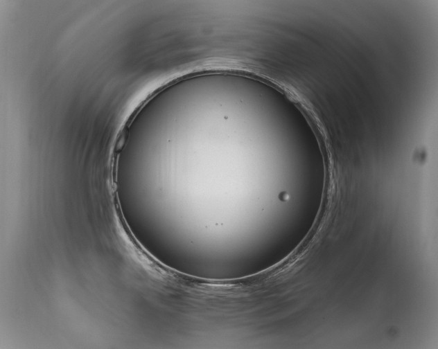 X0000111451342200907131321