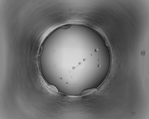 X0000111451344200907131321