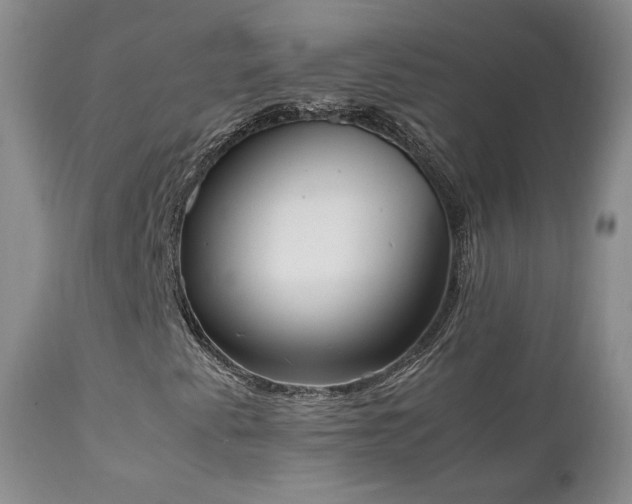 X0000111451345200907131320