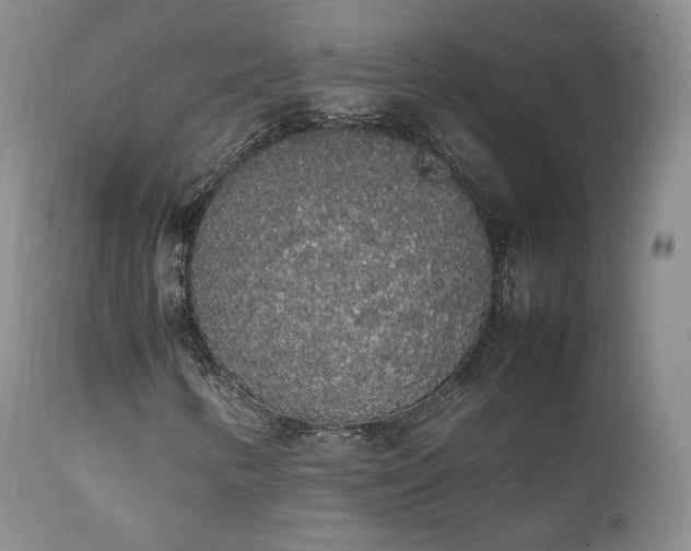 X0000111451346200907131320